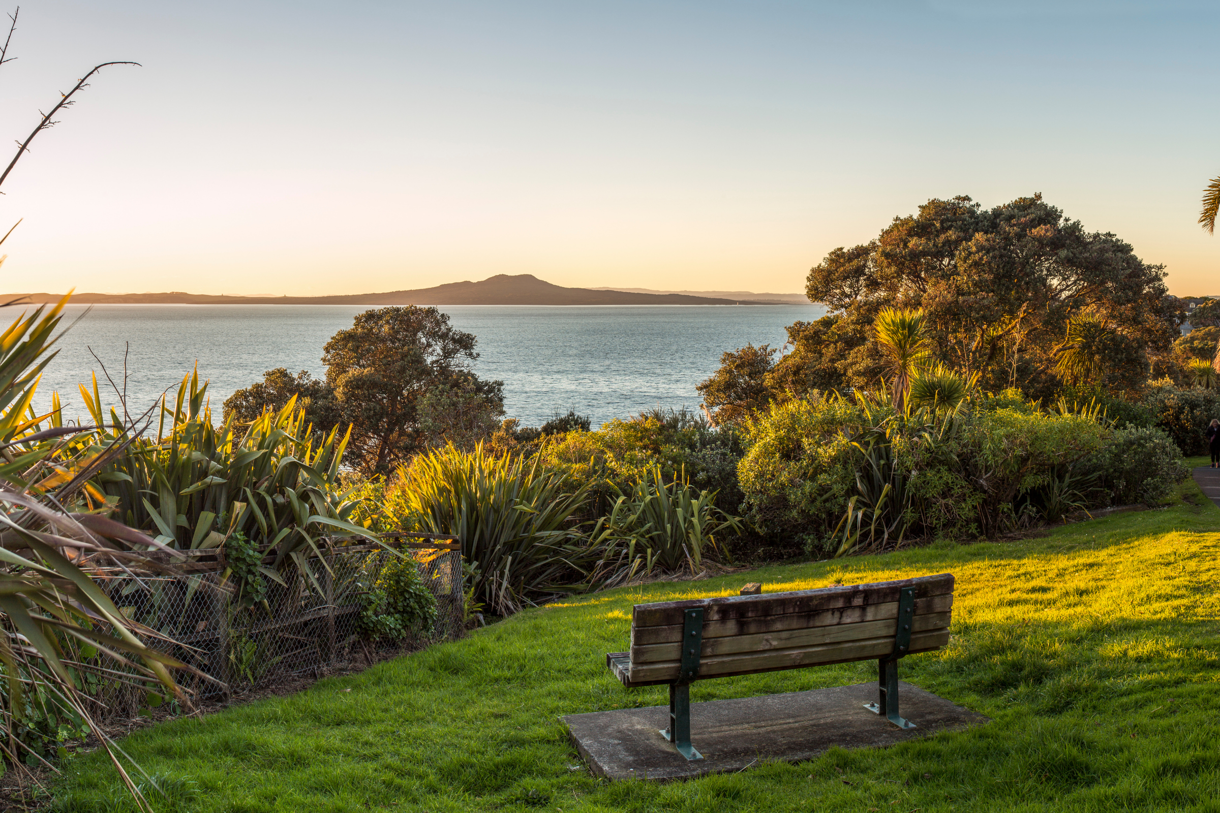 auckland islands.webp